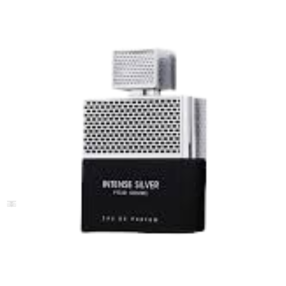 Bottle only of Fragrance World Intense Silver Pour Homme 100 ml Eau de Parfum (no packaging)